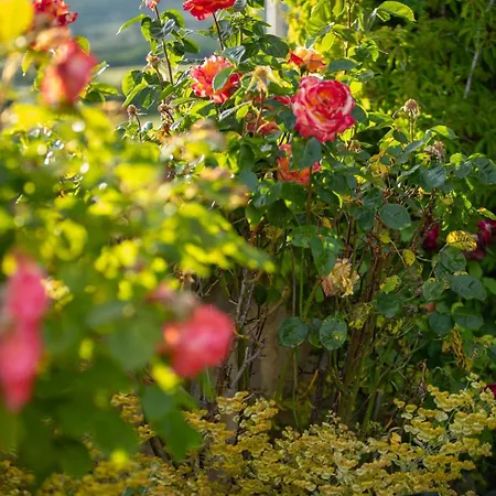 Appartement La Fontaine Doree - Jacuzzi, Piscine & Vue *